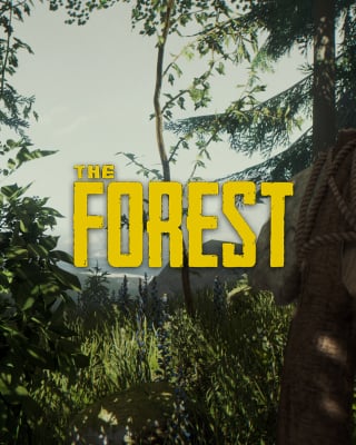 The Forest ps4 купить диск.