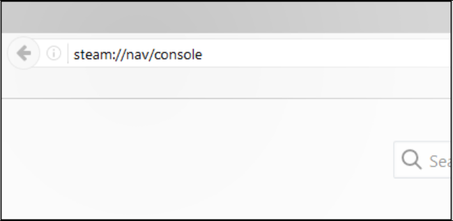 Open Steam Console.png