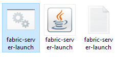 Fabric Server launch.png