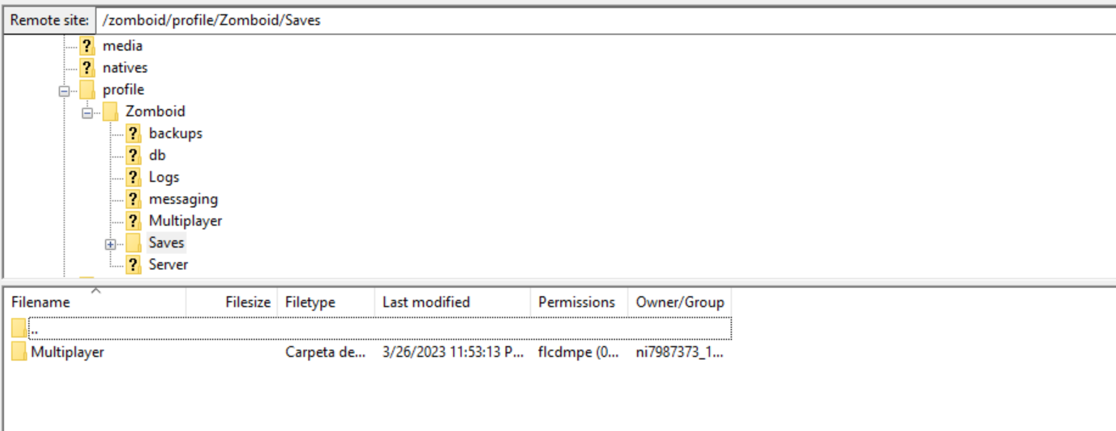 Upload a Savegame to a Project Zomboid Server NITRADO