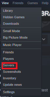 Steam-display-server2.png