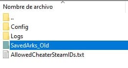 RespaldoOld.jpg