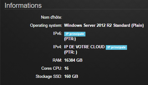 InfoVPS(Windows).png
