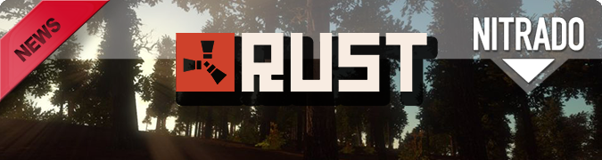 Rust Experimental Servers